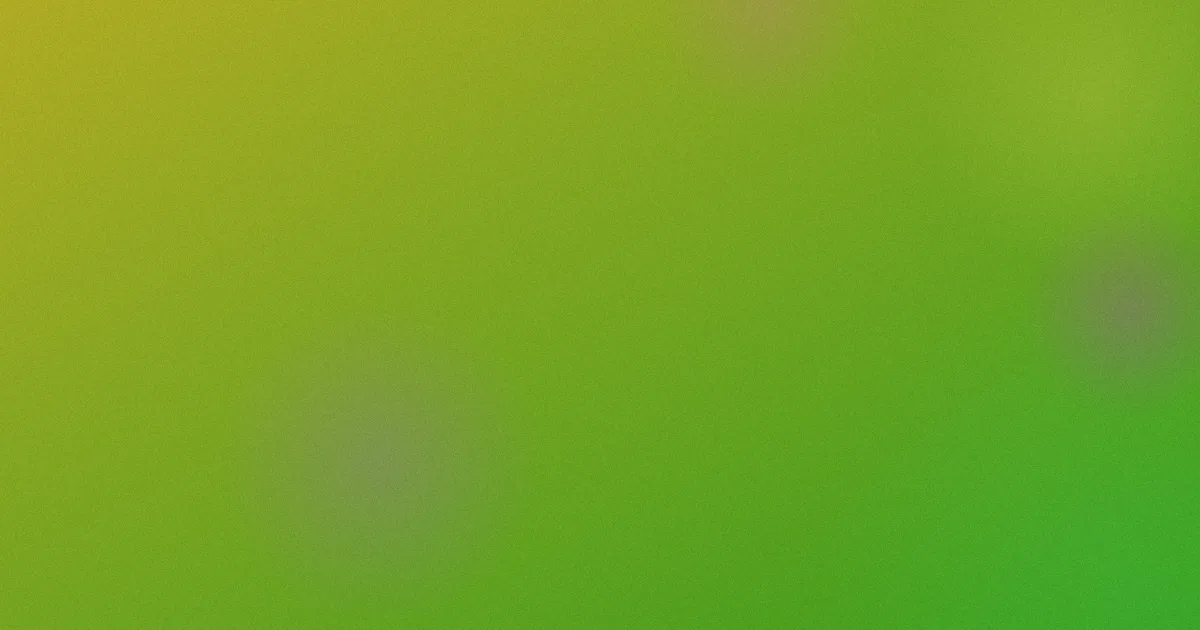伊人网推荐：新手这样选